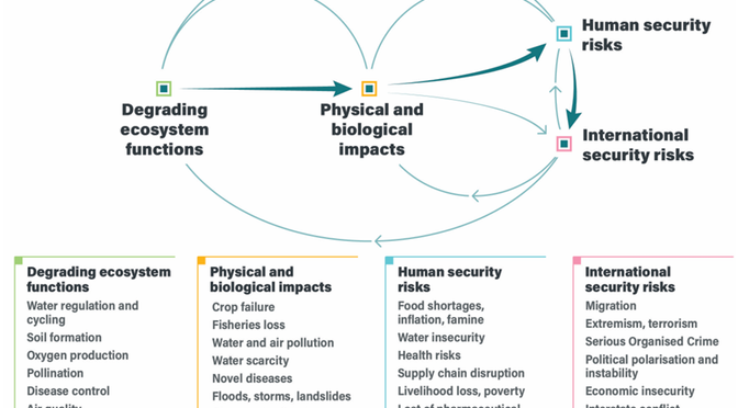 Nature security assessment on global biodiversity loss, ecosystem collapse and national security
